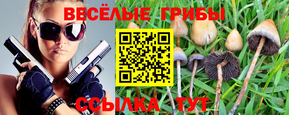 Псилоцибиновые грибы Psilocybine cubensis Прохладный